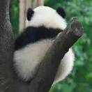 小尧的头像-VAM®克苏恩资源社区