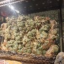 用户86765878的头像-VAM®克苏恩资源社区